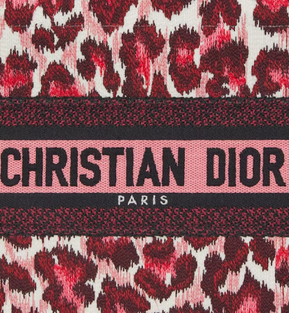 SMALL DIOR BOOK TOTE